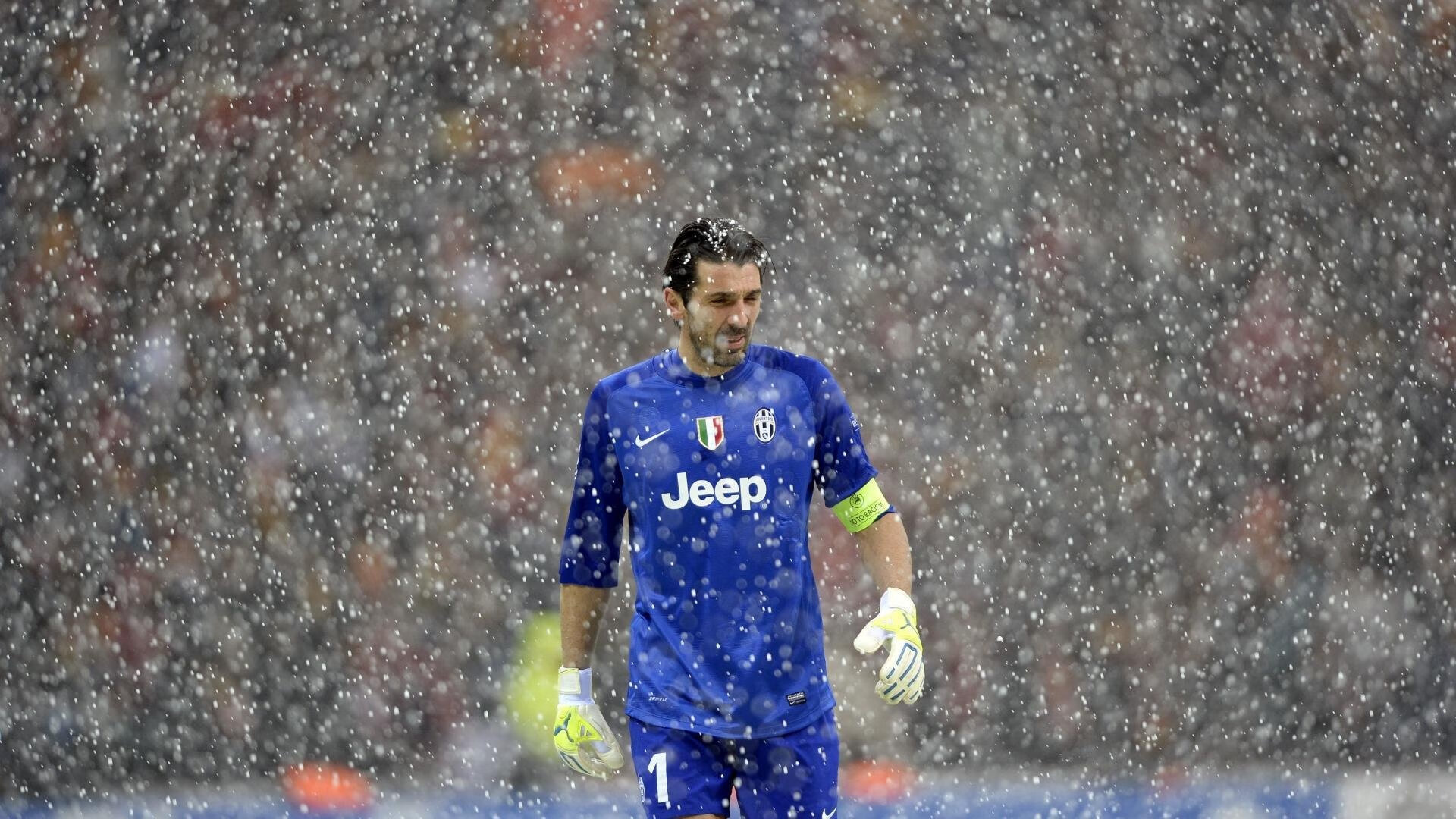 开云网页版-最后獭兔，当英雄主义剧本写满，数据却说赢家无需孤胆